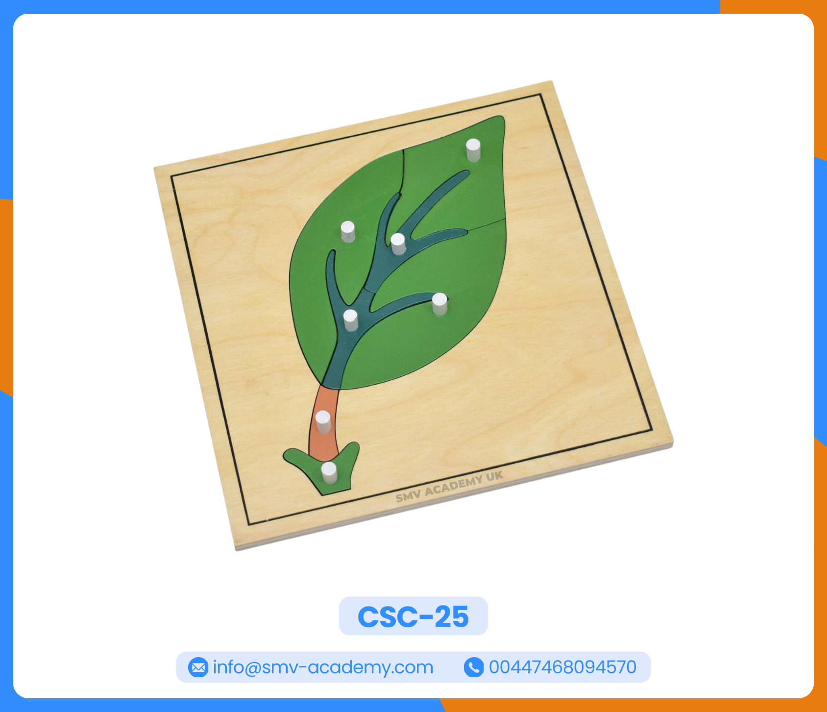 بازل أجزاء الورقة – Parts of a leaf puzzle